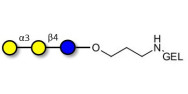 Isoglobotriose (iGb3)...