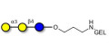 Isoglobotriose (iGb3) grafted on gel for affinity chromatography (Linker-GEL B) - linear B-6 trisaccharide ; IsoGb3; 3α,4β-Galactotriose; 3'-Galactosyl-lactose
