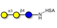 Isoglobotriose (iGb3)...
