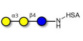 Isoglobotriose (iGb3) grafted on HSA - linear B-6 trisaccharide ; IsoGb3; 3α,4β-Galactotriose; 3'-Galactosyl-lactose