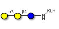 Isoglobotriose (iGb3) grafted on KLH - linear B-6 trisaccharide ; IsoGb3; 3α,4β-Galactotriose; 3'-Galactosyl-lactose