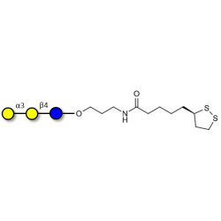 Isoglobotriose (iGb3) with cyclic di-thiol (Linker-LIPO A)
