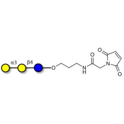 Isoglobotriose (iGb3) linked to maleimide (Linker-MAL A)