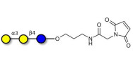 Isoglobotriose (iGb3)...