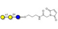 Isoglobotriose (iGb3) linked to maleimide (Linker-MAL A) - linear B-6 trisaccharide ; IsoGb3; 3α,4β-Galactotriose; 3'-Galactosyl-lactose