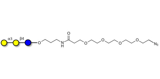 Isoglobotriose (iGb3) with terminal azide (Linker-N3 A) - linear B-6 trisaccharide ; IsoGb3; 3α,4β-Galactotriose; 3'-Galactosyl-lactose