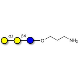 Isoglobotriose (iGb3) with free terminal amine (Linker-NH2 A)