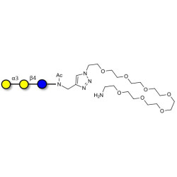 Isoglobotriose (iGb3) with free terminal amine (Linker-NH2 C)