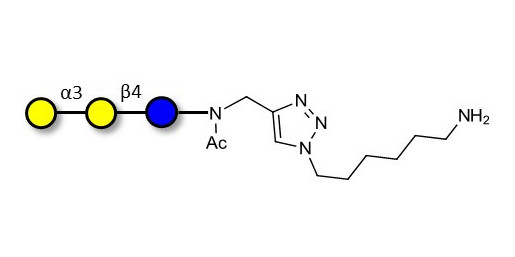 Isoglobotriose (iGb3) with free terminal amine (Linker-NH2 D) - linear B-6 trisaccharide ; IsoGb3; 3α,4β-Galactotriose; 3'-Galactosyl-lactose