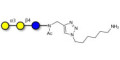 Isoglobotriose (iGb3) with free terminal amine (Linker-NH2 D) - linear B-6 trisaccharide ; IsoGb3; 3α,4β-Galactotriose; 3'-Galactosyl-lactose