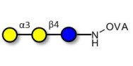 Isoglobotriose (iGb3)...