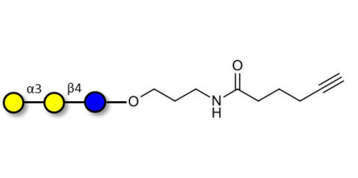 Isoglobotriose (iGb3) with terminal alkyne (Linker-CΞCH C) - linear B-6 trisaccharide ; IsoGb3; 3α,4β-Galactotriose; 3'-Galactosyl-lactose
