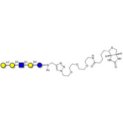 Galili antigen pentaose linked to biotin (Linker-BT A)