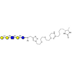 Galili antigen pentaose linked to desthiobiotin (Linker-DBT-A)