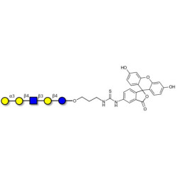 Galili antigen pentaose linked to fluorescein (Linker-FLUO A)