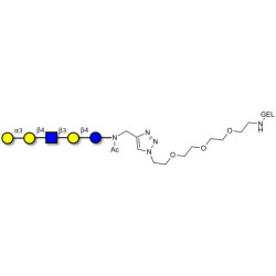 Galili antigen pentaose grafted on gel for affinity chromatography (Linker-GEL A)