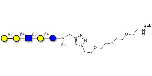 Galili antigen pentaose grafted on gel for affinity chromatography (Linker-GEL A) - GLY071-GEL