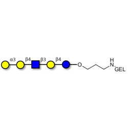 Galili antigen pentaose grafted on gel for affinity chromatography (Linker-GEL B)