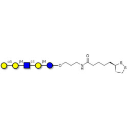 Galili antigen pentaose with cyclic di-thiol (Linker-LIPO A)