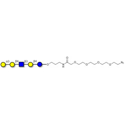 Galili antigen pentaose with terminal azide (Linker-N3 A)