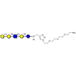Galili antigen pentaose with free terminal amine (Linker-NH2 B)
