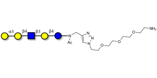 Galili antigen pentaose with free terminal amine (Linker-NH2 B) - GLY071-NAc-sp1-NH2