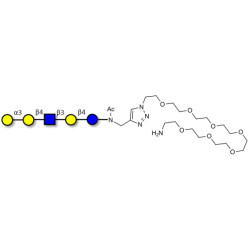 Galili antigen pentaose with free terminal amine (Linker-NH2 C)