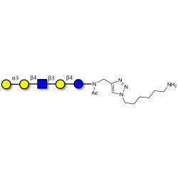 Galili antigen pentaose with free terminal amine (Linker-NH2 D)