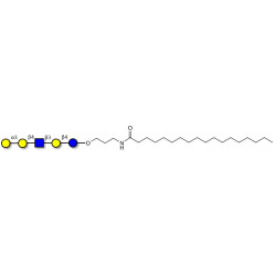 Galili antigen pentaose with stearic chain (Linker-STEA A)