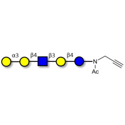Galili antigen pentaose with terminal alkyne (Linker-CΞCH A)