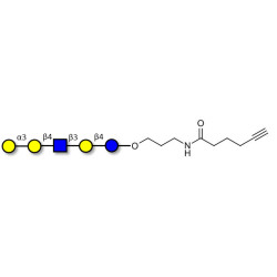 Galili antigen pentaose with terminal alkyne (Linker-CΞCH C)