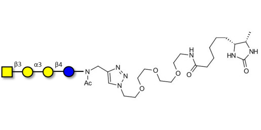 Isoglobotetraose (iGb4) linked to desthiobiotin (Linker-DBT-A) - Cytolipin R; Globoisotetraose