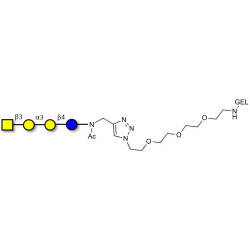 Isoglobotetraose (iGb4) grafted on gel for affinity chromatography (Linker-GEL A)