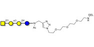 Isoglobotetraose (iGb4)...