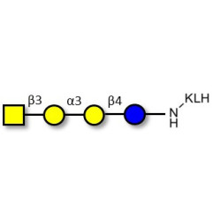 Isoglobotetraose (iGb4) grafted on KLH