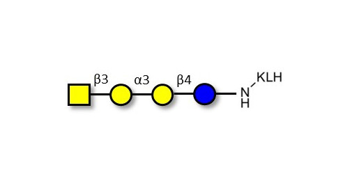 Isoglobotetraose (iGb4) grafted on KLH - Cytolipin R; Globoisotetraose