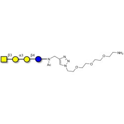 Isoglobotetraose (iGb4) with free terminal amine (Linker-NH2 B)