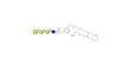 Isoglobotetraose (iGb4) with free terminal amine (Linker-NH2 C) - Cytolipin R; Globoisotetraose