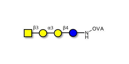 Isoglobotetraose (iGb4) grafted on OVA - Cytolipin R; Globoisotetraose
