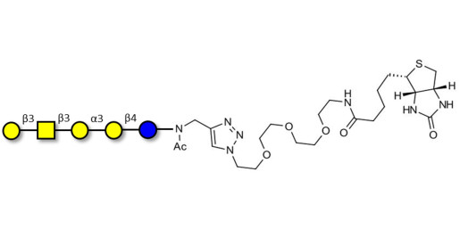 Isoglobopentaose (iGb5) linked to biotin (Linker-BT A)