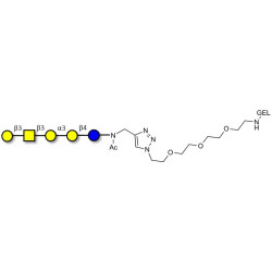 Isoglobopentaose (iGb5) grafted on gel for affinity chromatography (Linker-GEL A)