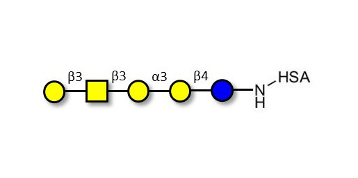 Isoglobopentaose (iGb5) grafted on HSA