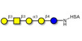 Isoglobopentaose (iGb5) grafted on HSA