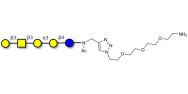 Isoglobopentaose (iGb5)...