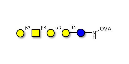 Isoglobopentaose (iGb5) grafted on OVA