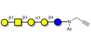 Isoglobopentaose (iGb5)...