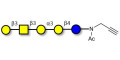 Isoglobopentaose (iGb5) with terminal alkyne (Linker-CΞCH A)