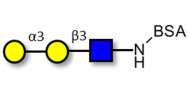 Xeno antigen type 1 / Blood...