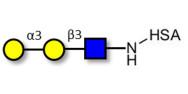 Xeno antigen type 1 / Blood...