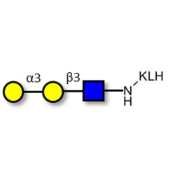Xeno antigen type 1 / Blood group B antigen triose type 1 linear grafted on KLH